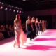 fashion shows insights revealed