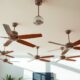 stylish cooling ceiling fans