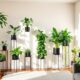 stylish indoor plant displays