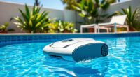 affordable pool cleaner options