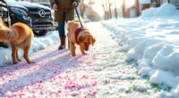 pet safe ice melt options