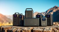 top 1000w portable power stations