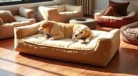 top orthopedic dog beds