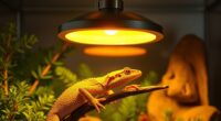 top reptile heat lamp options