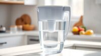 top water filter pitchers