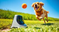 top automatic dog toy launchers