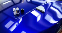 top diy car coating kits