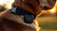 top gps dog collars