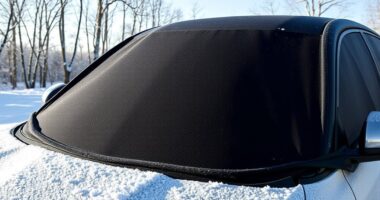 top ice prevention windshield covers