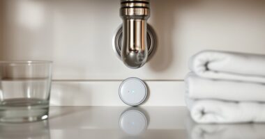 top leak sensors for home
