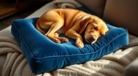 top orthopedic pet pillow selection