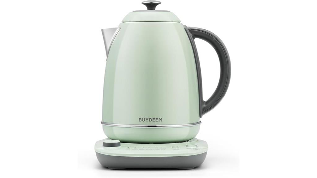 electric kettle with temperature