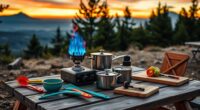 top camping stove sets