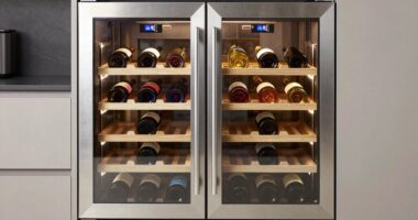 top 15 dual zone wine coolers