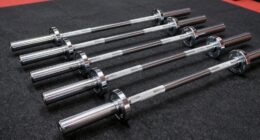 top 15 premium 45 lb olympic barbells