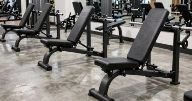 top adjustable weight benches