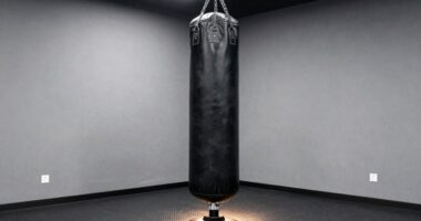 top freestanding heavy duty boxing bags