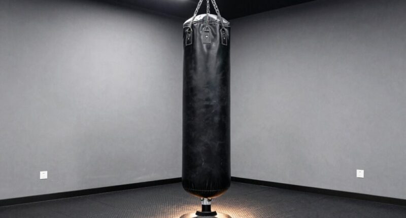 top freestanding heavy duty boxing bags