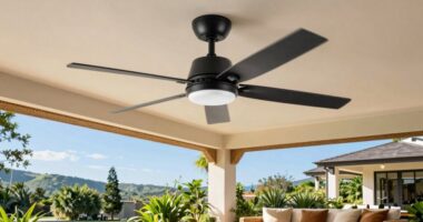 top remote controlled outdoor fans