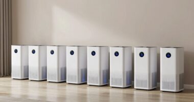 top smart purifiers with auto