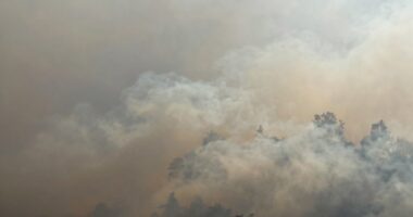 air quality improvement method