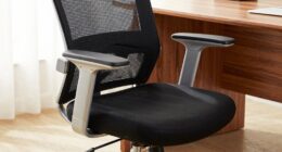chair ergonomic adjustments