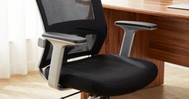 chair ergonomic adjustments