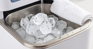 ice maker maintenance tips