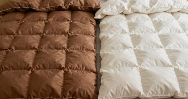 insulation comparison for warmth