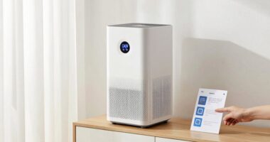 purifier features and matching