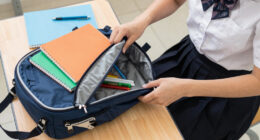 12 Best Stylish Backpacks for High School in 2026