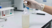 Pluralibacter Gergoviae Shampoo Contamination