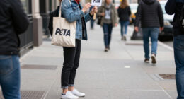 Steven Kolb Gets Physical With PETA Protestors, Street Style Goes Casual And Everything Else You Need To Know About NYFW So Far