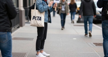 Steven Kolb Gets Physical With PETA Protestors, Street Style Goes Casual And Everything Else You Need To Know About NYFW So Far