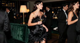 13 Best Feather Dresses for 2027