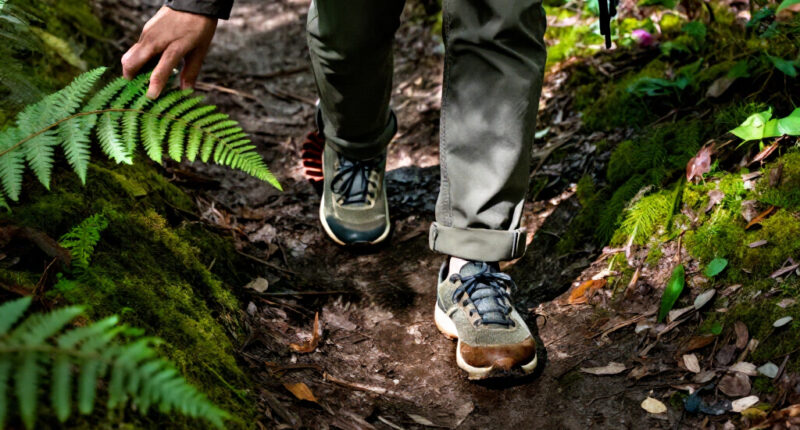 15 Best Plush Trail Walking Sneakers for Comfort on Mixed Terrain in 2027