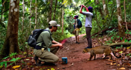 Inside Dior’s Partnership With The World Wildlife Fund To Support Puma Conservation